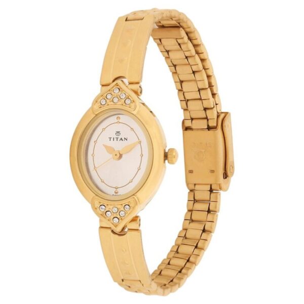 Titan Women Watch NF2468YM01